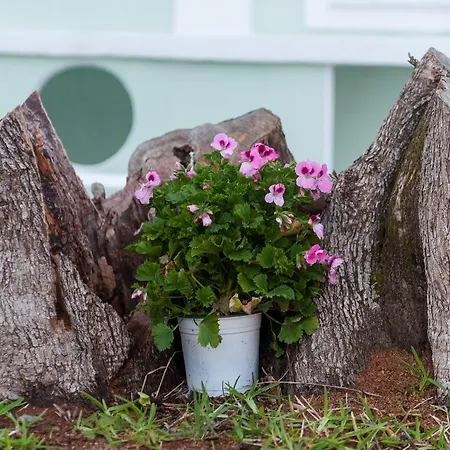 Bee's Knees Retreat *