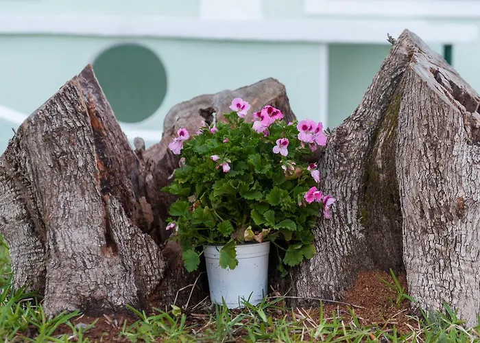 Bee's Knees Retreat *